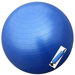 Anti-Brust High Quality Exercise Gym Ball With Hand Pump For Yoga Use In 65Cm