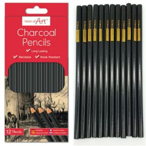 12pc Charcoal Artist Pencils For Drawing Sketching Shading Draw Tones Shades
