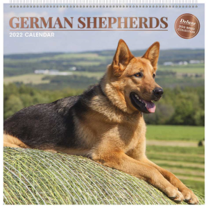 2022 German Shepherds Calendar 2022 Dog Breed Full Year Wall Deluxe Planner