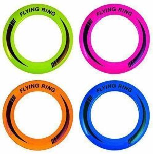 10" Neon Flying Ring Disc Frisbee Flyer Adult Kids Family Outdoor Play Toy 