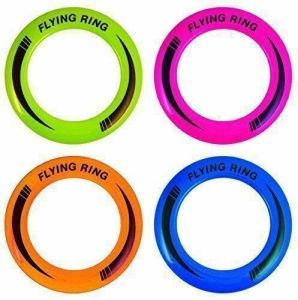 10" Neon Flying Ring Disc Frisbee Flyer Adult Kids Family Outdoor Play Toy