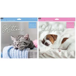2022 Square Size Calendar kittens & Puppies Photographic Photo Wall Calendar