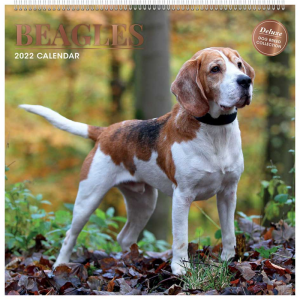2022 Deluxe Square Calendar Dog Breeds - Beagles Full Year Wall Planner