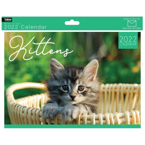 2022 Kittens Wall Calendar A4 Postal Envelope Cute Cats Christmas Gift Hanging