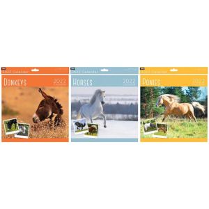 2022 Square Month to View Calendar Planner WALL CALENDERS DONKEY - HORSES AND POINES