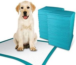 Pack of 50 and 100 Large Size Super Absorbent Puppy Training Pads Leak proof pad