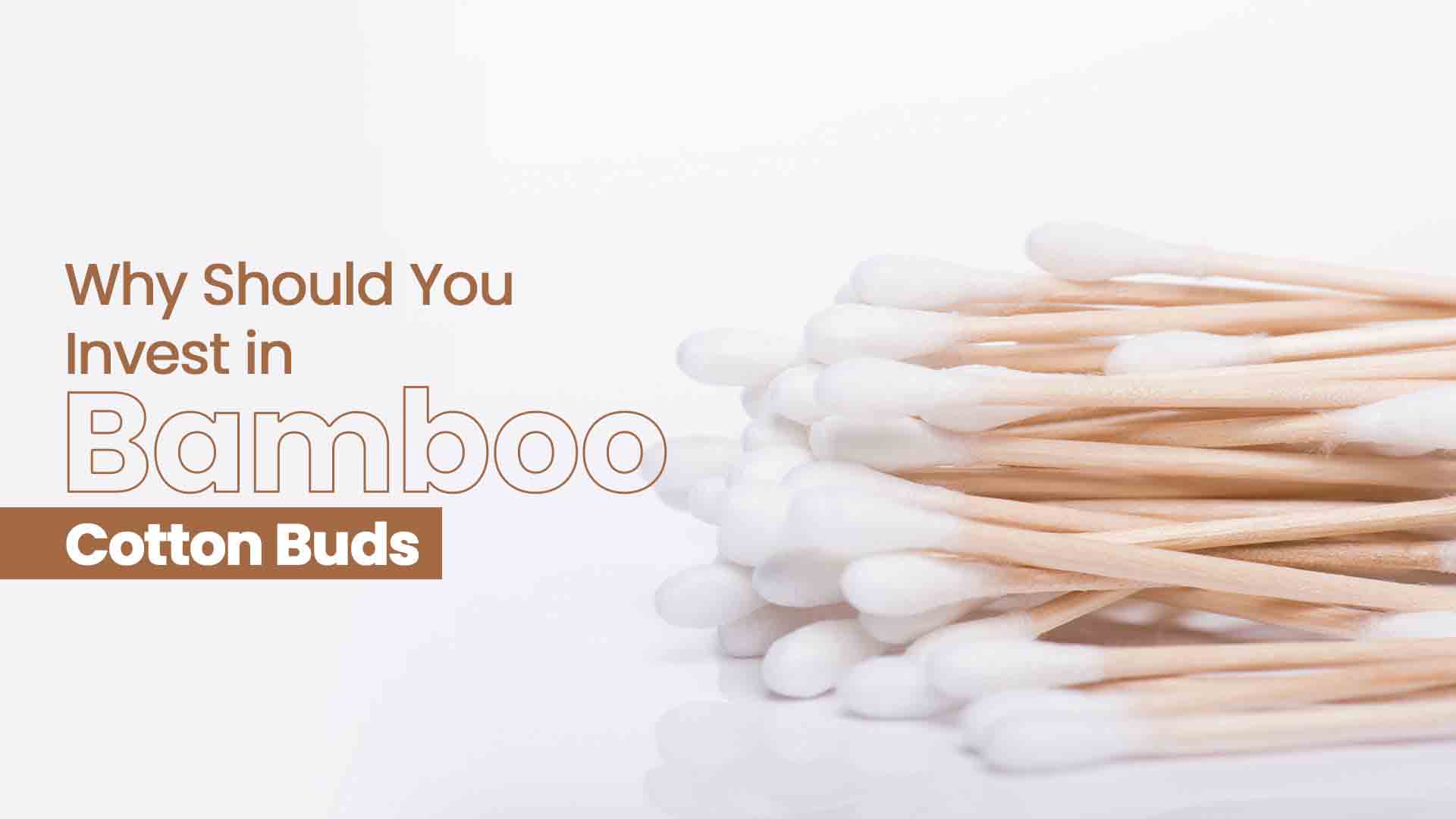 Why Should You Invest in Bamboo Cotton Buds?